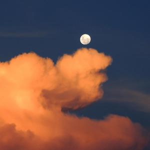 男男女女性欲欧美QQQXXX
